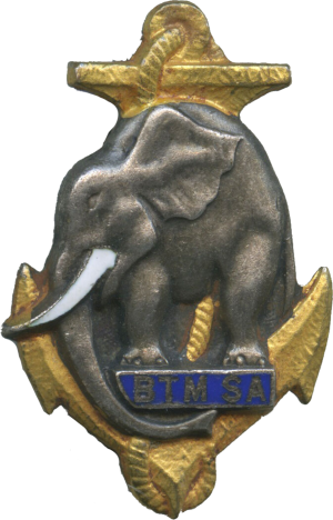 An enamel regimental badge showing an elephant head on an anchor