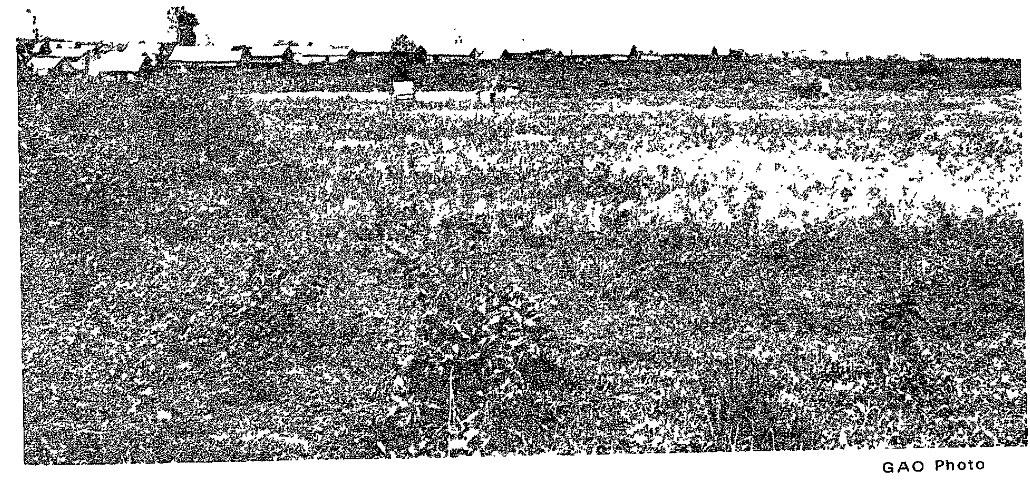 Grainy photograph of a broad cultivated field with a row of buildings on the horizon