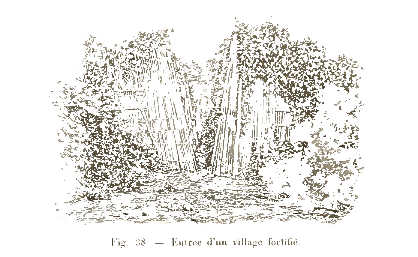 An engraving of a village gate hidden in dense bamboo and thicket
