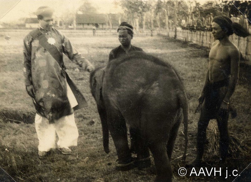 An elephant calf held on a rope beside men in white, 1933