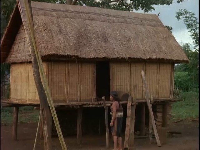A thatched house on stilts in a highland village, with a woman standing beside the ladder