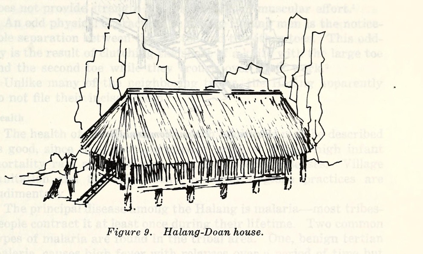 A drawing of a thatched house on posts with a covered porch