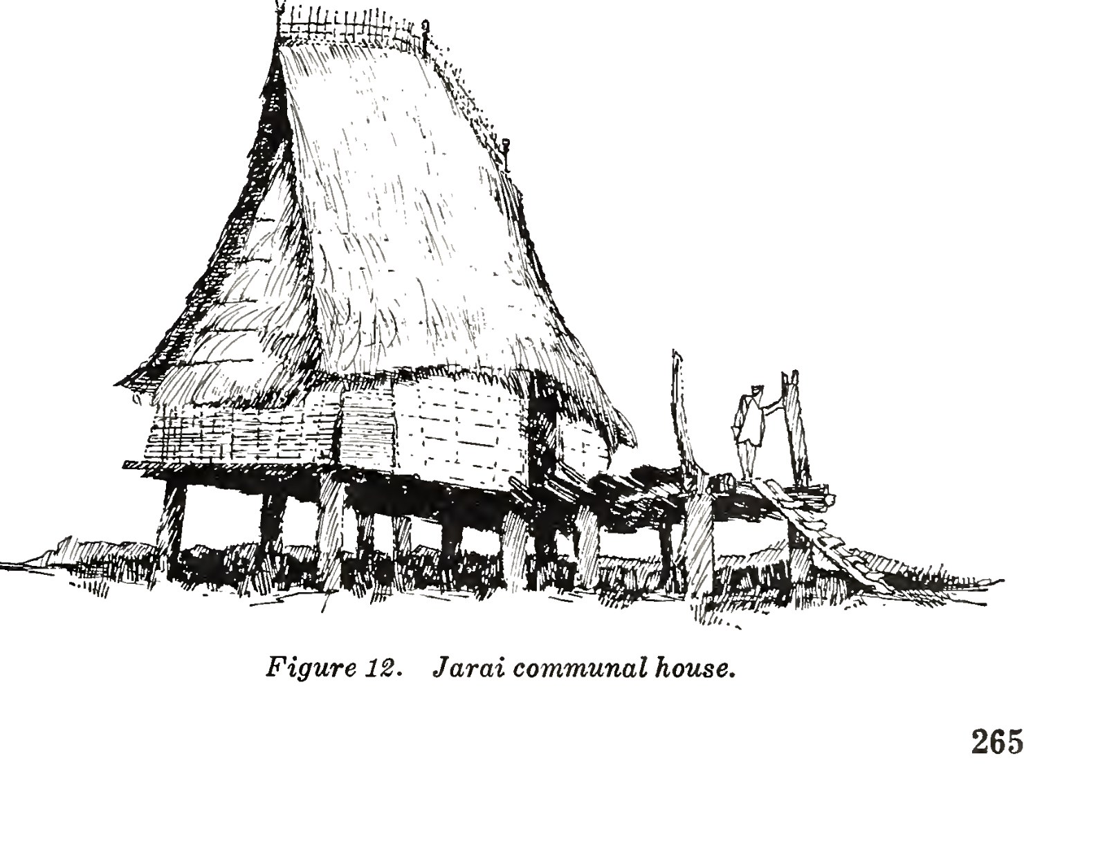 A drawing of a Jarai communal house with a steep thatched roof on piles