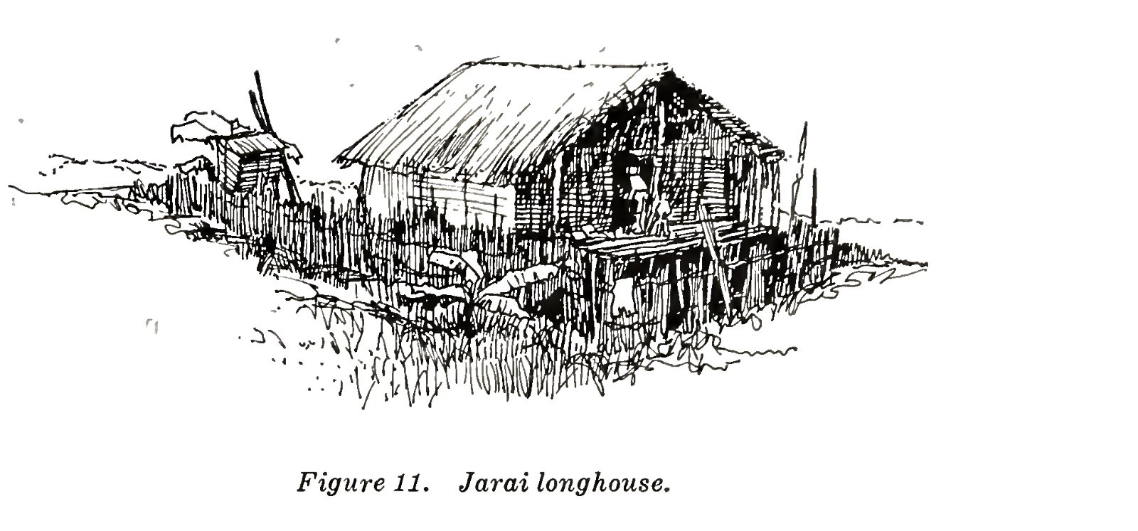 A drawing of a Jarai longhouse on piles with a ladder at one end