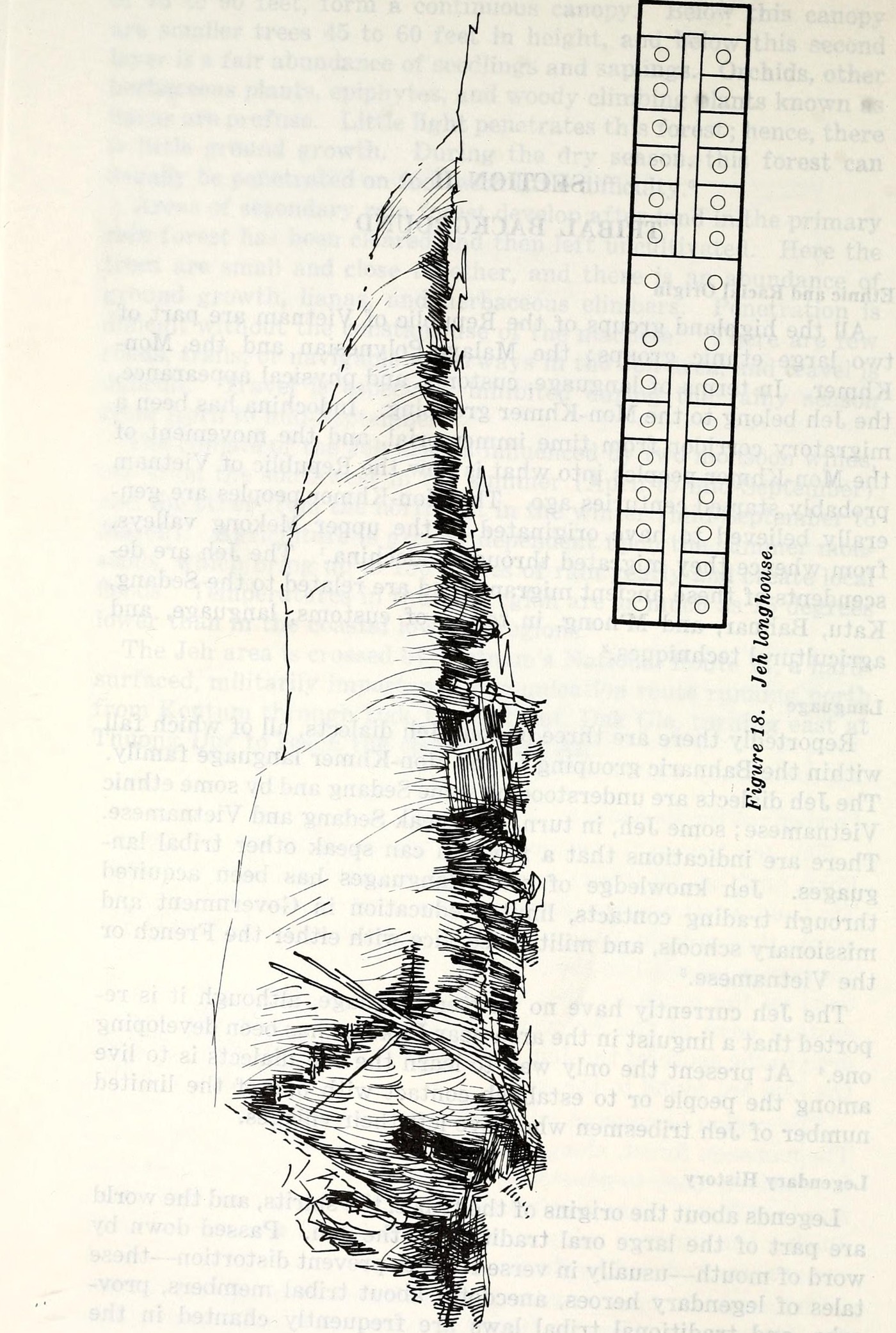 A drawing of a very long house on posts seen from above, with a plan beside it