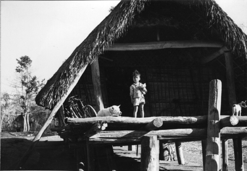 A small child and a dog outside a thatched house
