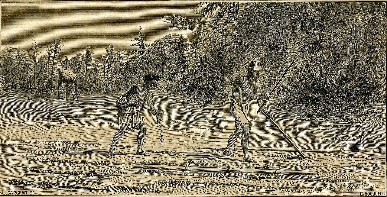 An engraving of two men in loincloths in a cleared field, one making holes in the ground with a long pole and the other dropping seed into them