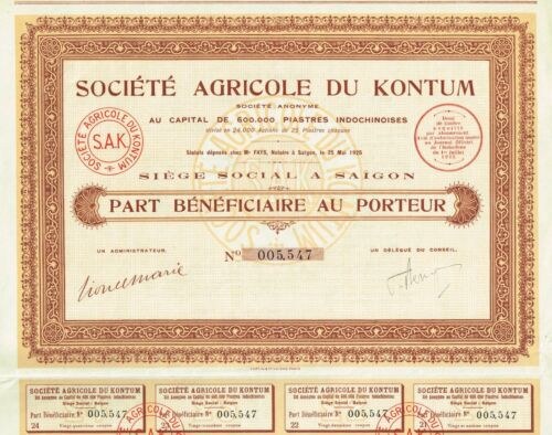 A printed share certificate with decorative border