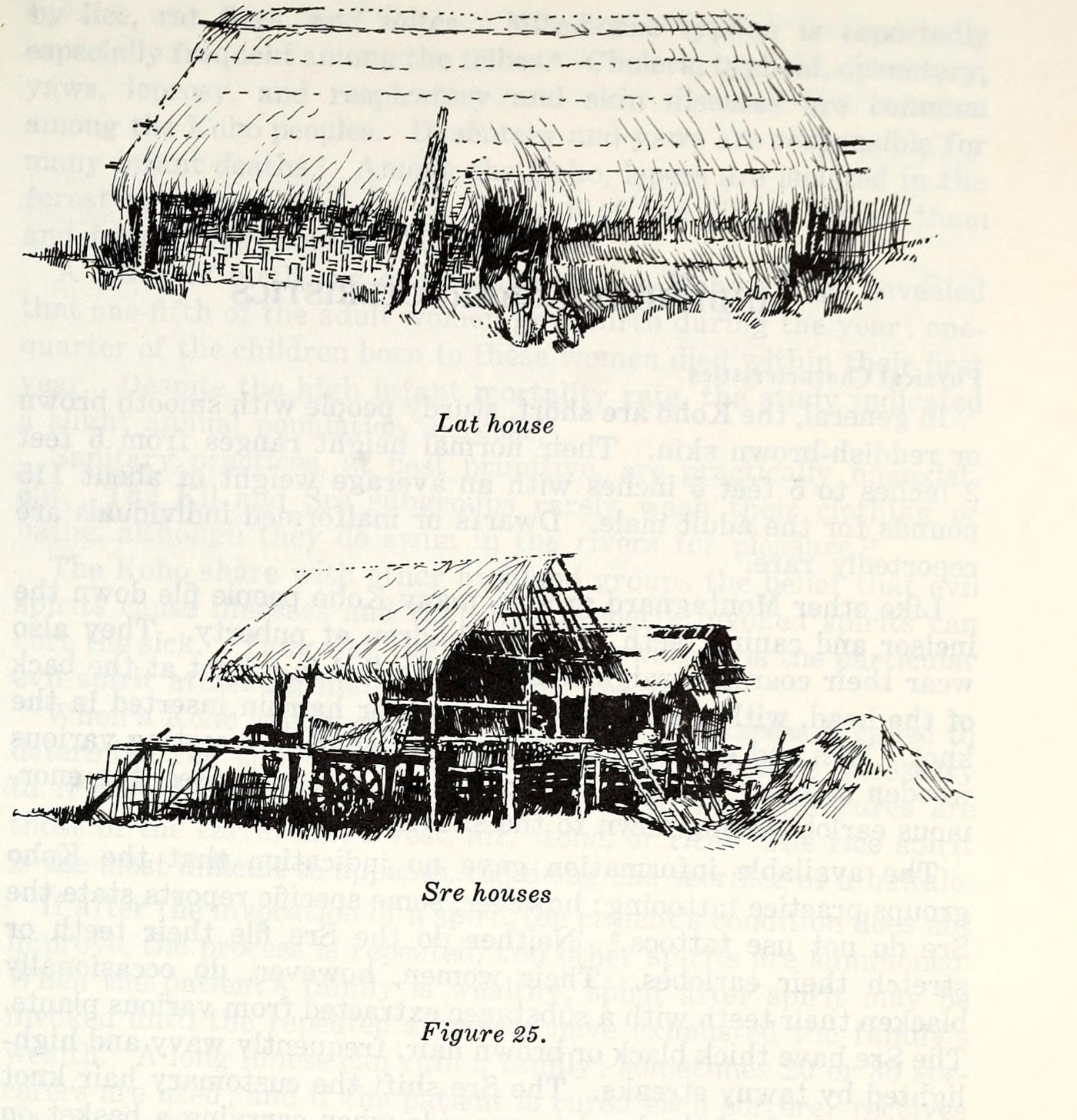 Drawings of a Lat house and a Sre longhouse