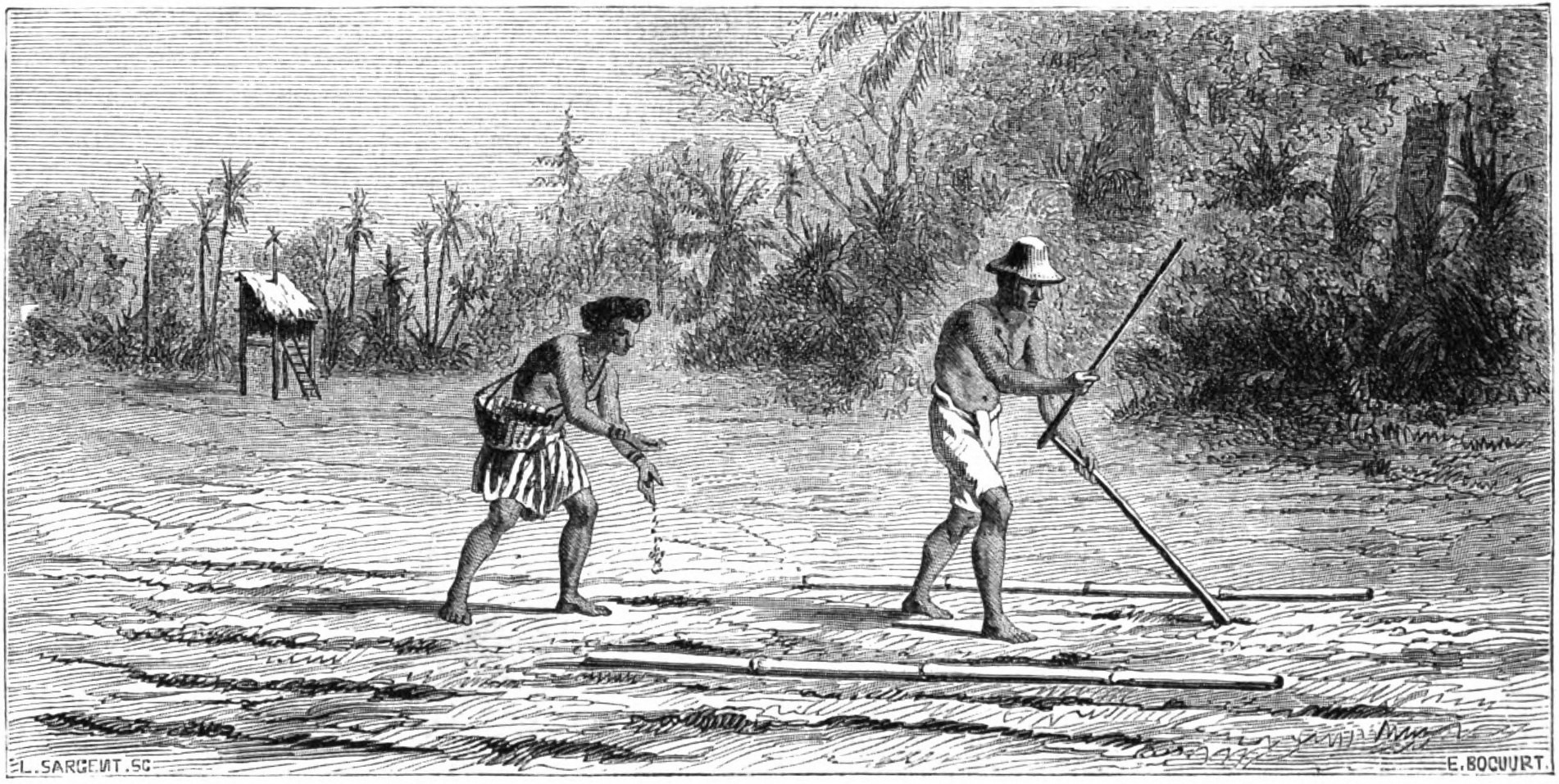 An engraving of men and women planting a cleared field with sticks and baskets