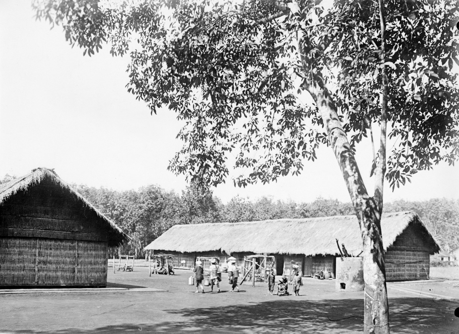 Long rows of thatched barracks on a plantation