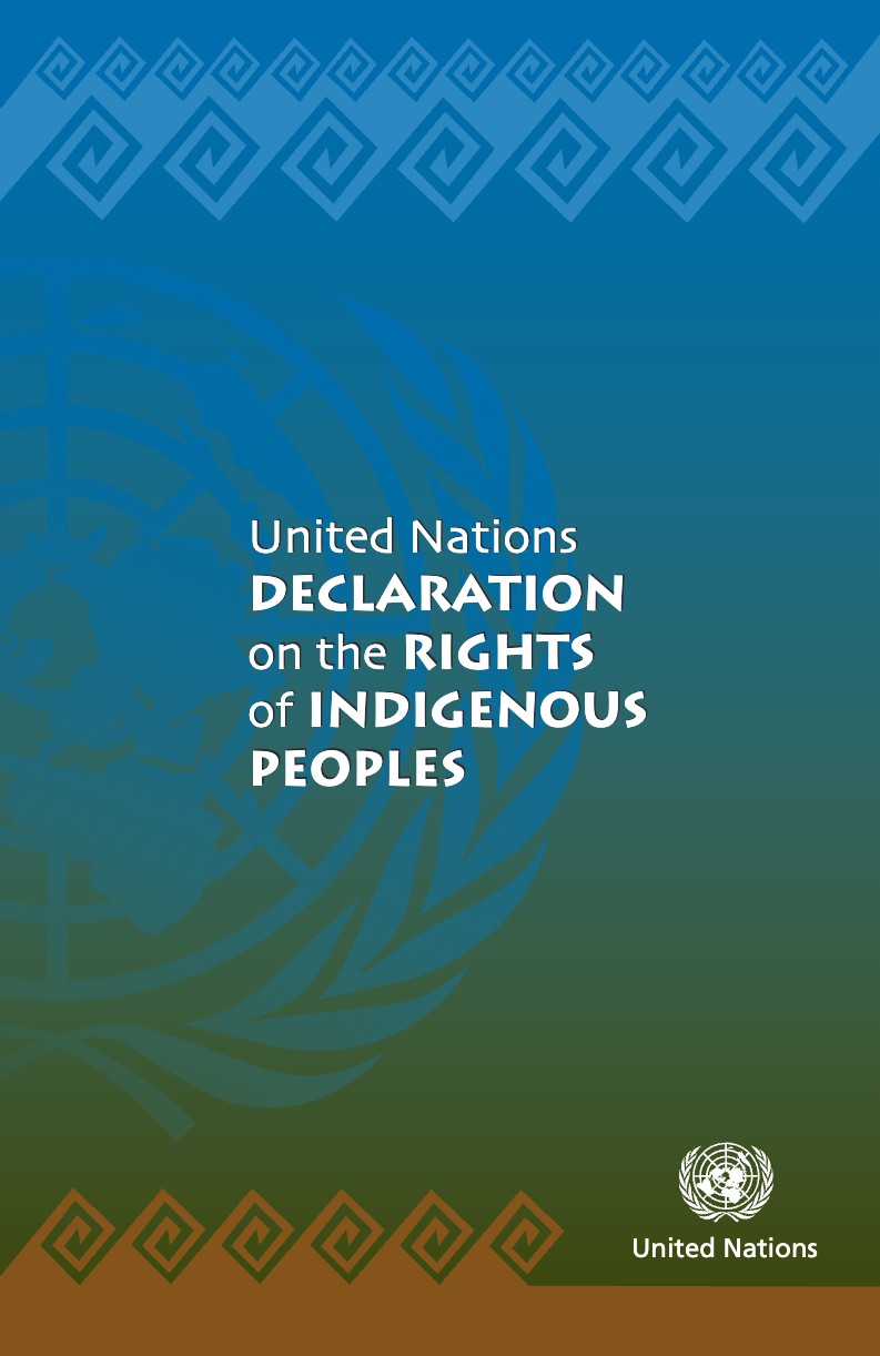 The cover of a UN booklet reading United Nations Declaration on the Rights of Indigenous Peoples