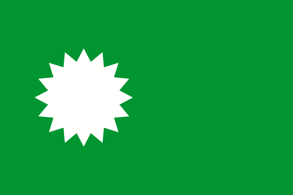 A green flag with a white many-pointed star