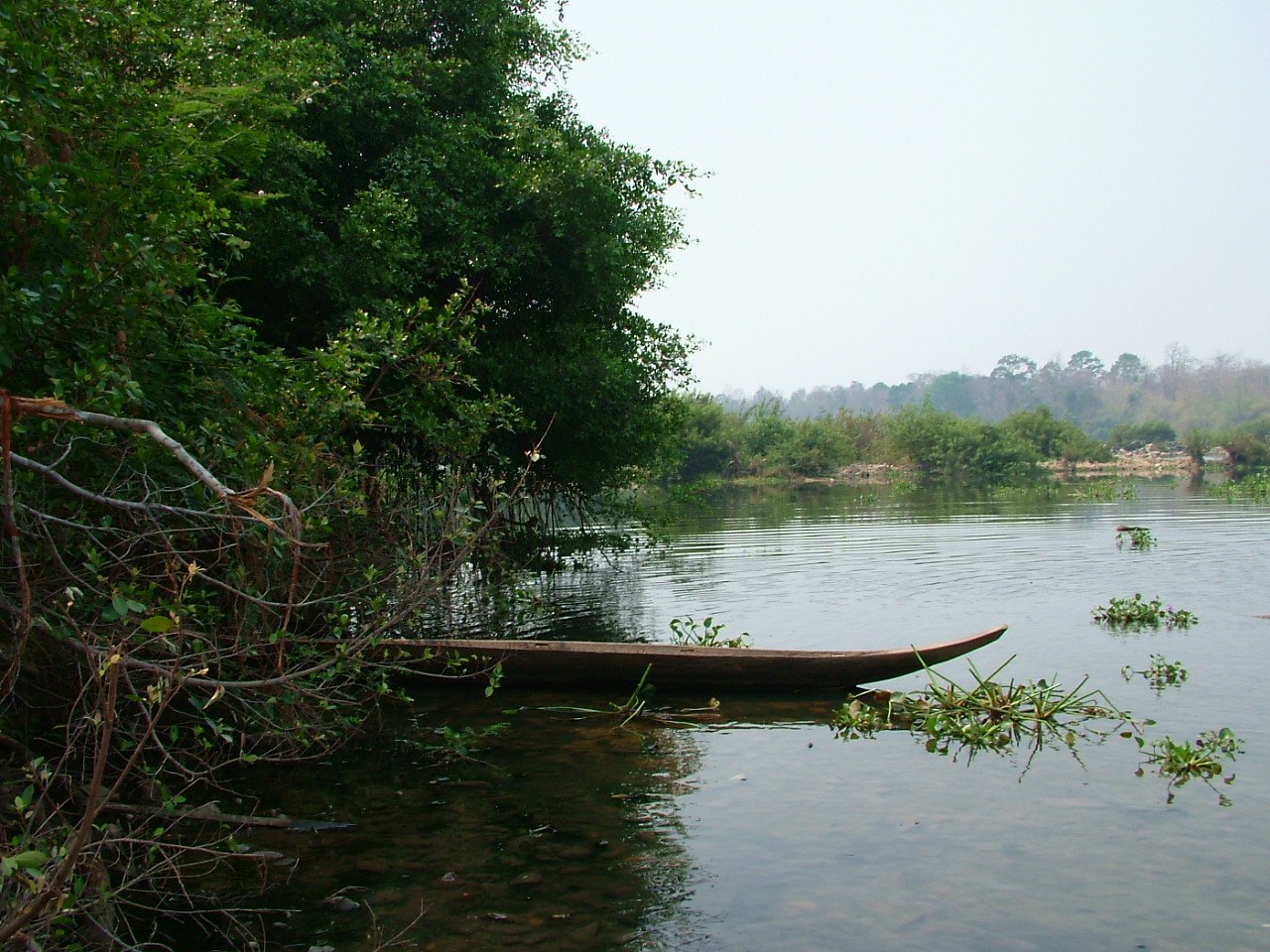 A dugout canoe on the bank of a river with forest behind