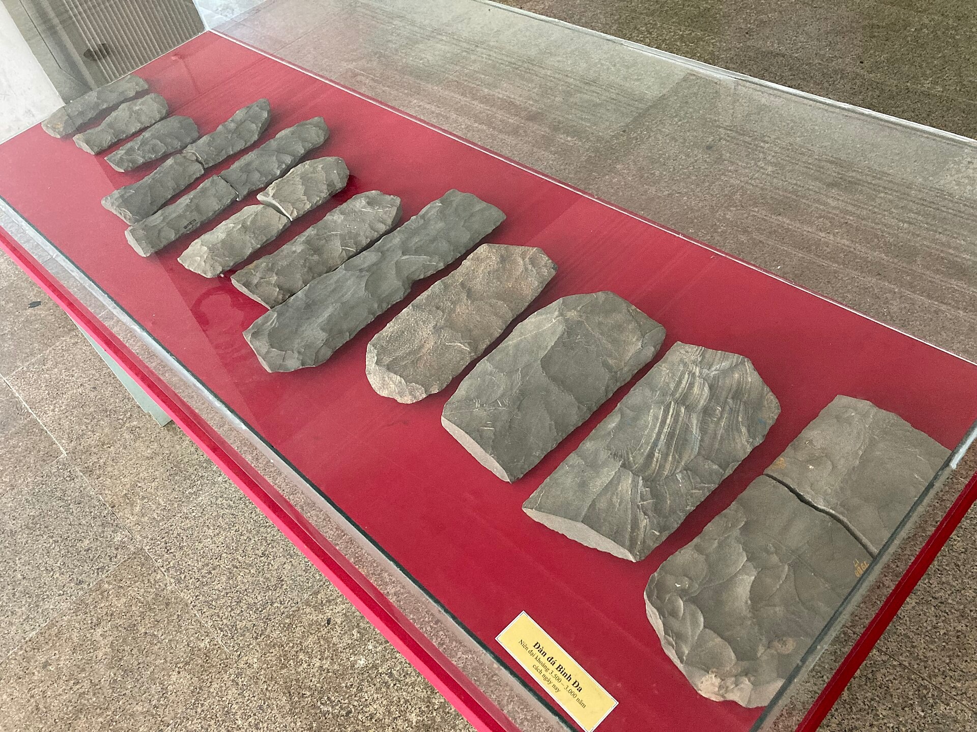 A set of long chipped stone bars laid side by side in a museum case