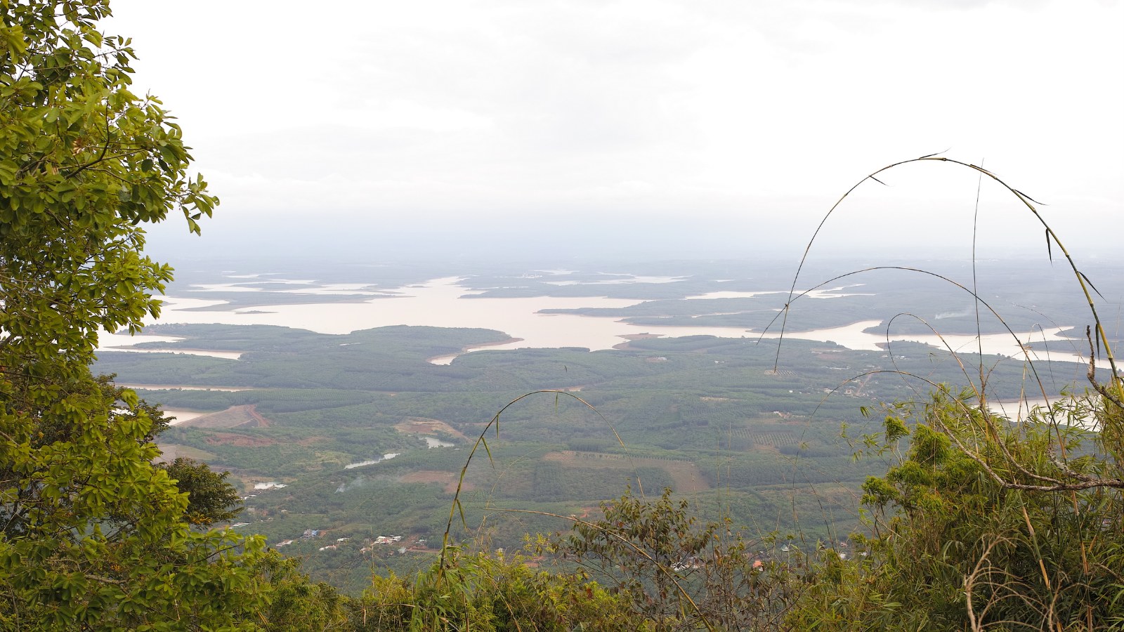 A wide view over flat plantation country from a hilltop