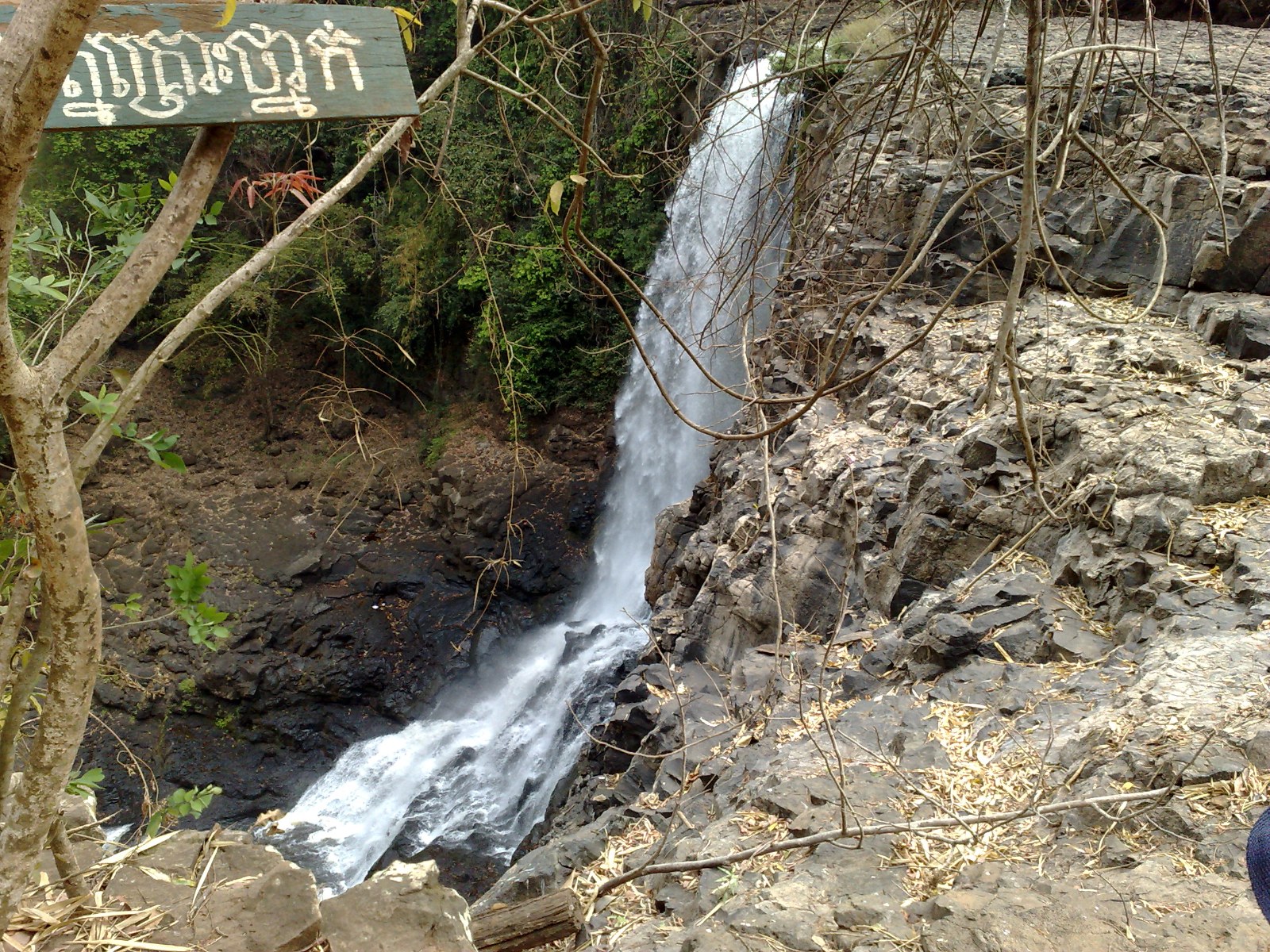 A wide waterfall falling over a rock ledge into a forest pool