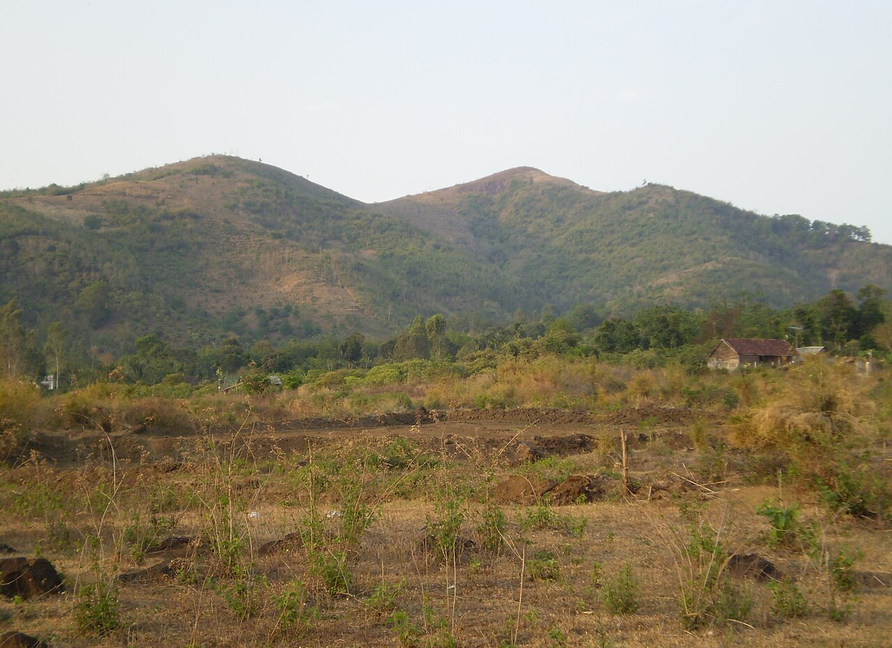Dry fields at the foot of low wooded hills