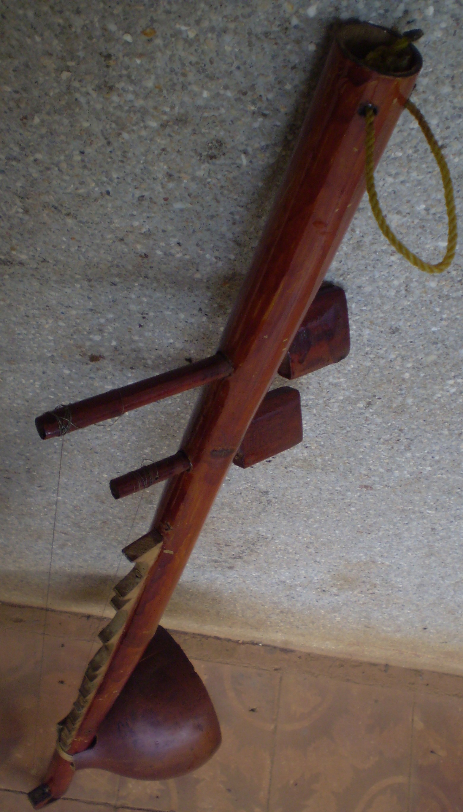 A long bamboo tube zither with a gourd resonator at one end, held upright