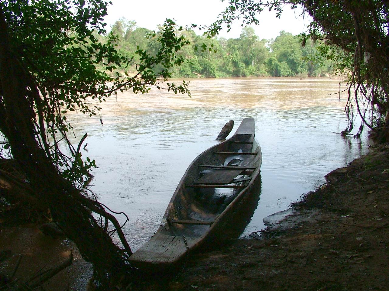 A long dugout canoe drawn up under trees at the edge of a river