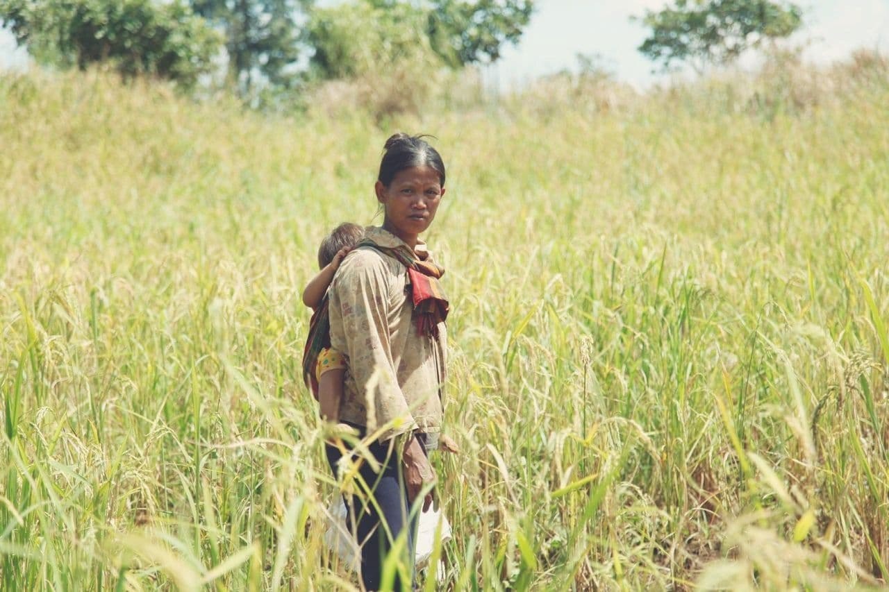 A woman in a patterned blouse stands at the edge of a field looking over her crops
