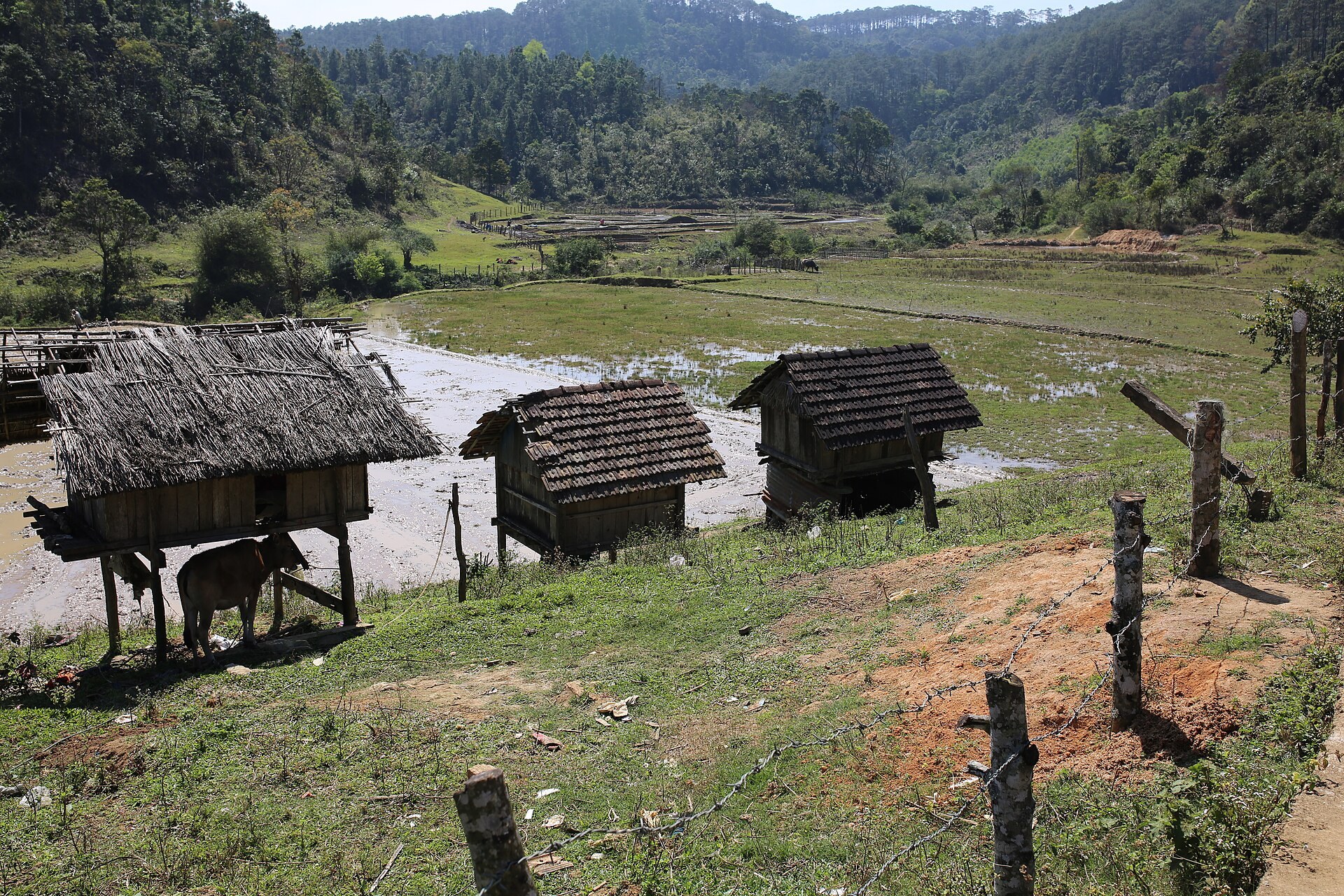 Wooden houses and small granaries on stilts at the edge of a valley of fields under forested hills