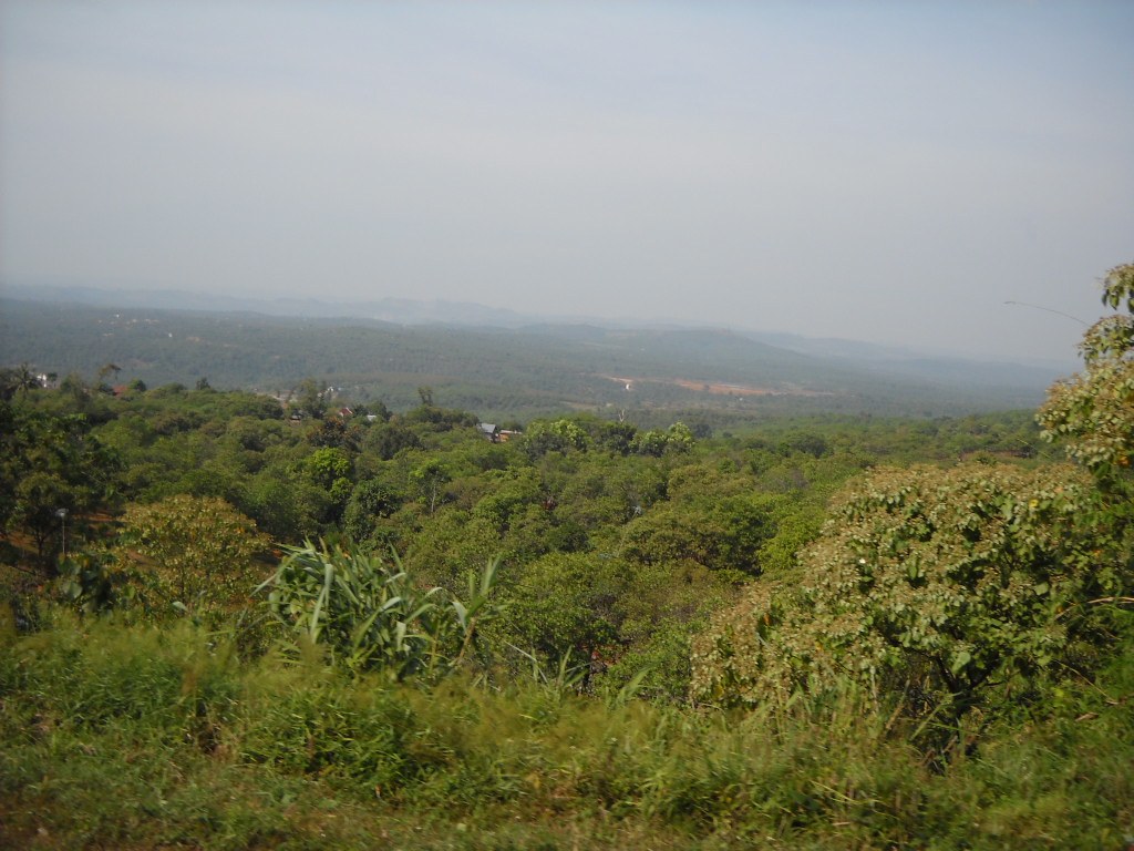A view from a wooded ridge across a wide, flat, forested plateau under a hazy sky