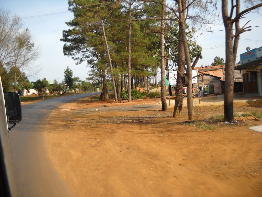 A dirt road of bright red earth running past pine trees and low houses