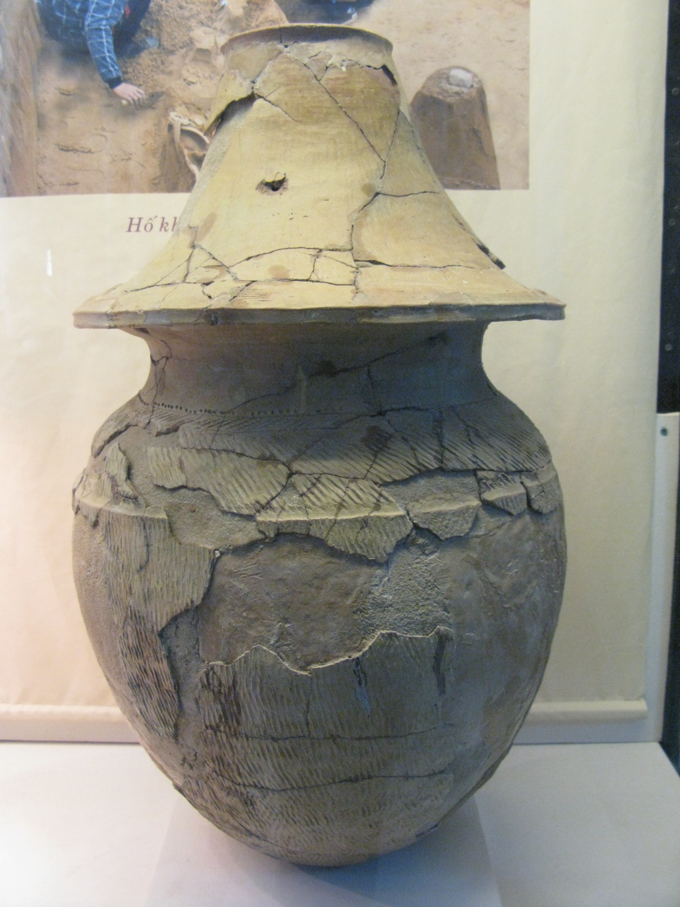 A tall pottery burial jar with a lid, in a museum case