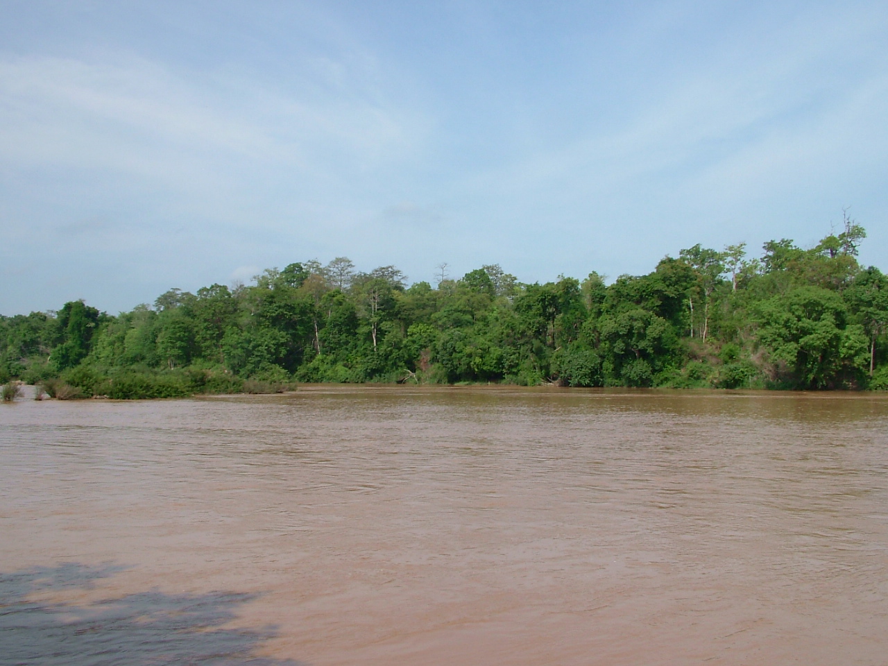 A wide brown river with dense forest along its far bank