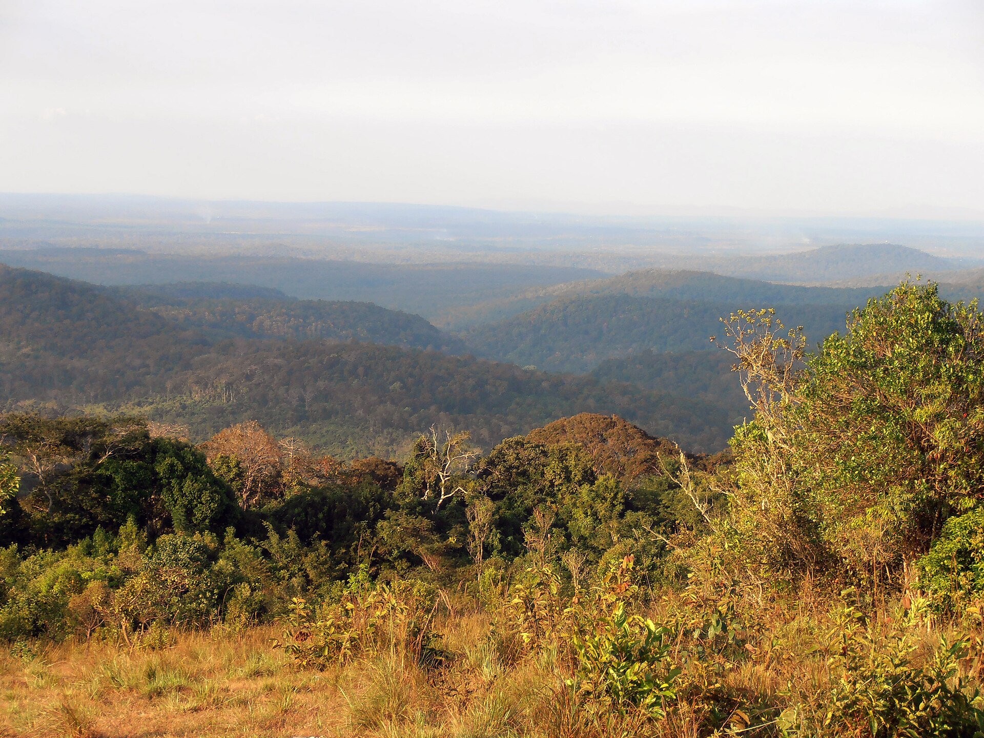 Forested hills fading into haze under a pale sky, dry grass in the foreground